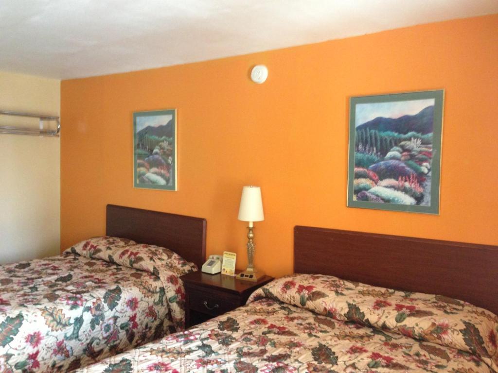 Cadet Motor Inn - Coldwater Quarto foto